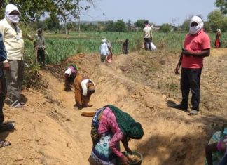 श्रमिकांच्या मदतीला रोहयो