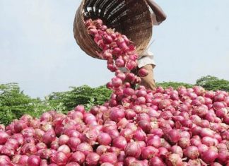केंद्र सरकारने वीस रुपये किलो दराने कांदा खरेदी करावा