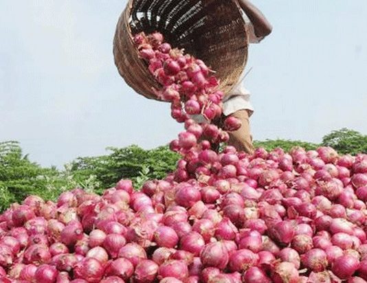 केंद्र सरकारने वीस रुपये किलो दराने कांदा खरेदी करावा