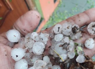 गडचिरोलीत गारपीट – पिकांचं नुकसान