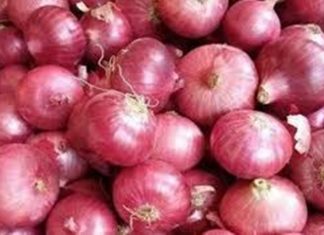 नाशिक जिल्ह्यातल्या लासलगाव बाजार समितीत पूर्ववत कांद्याचे लिलाव सुरू