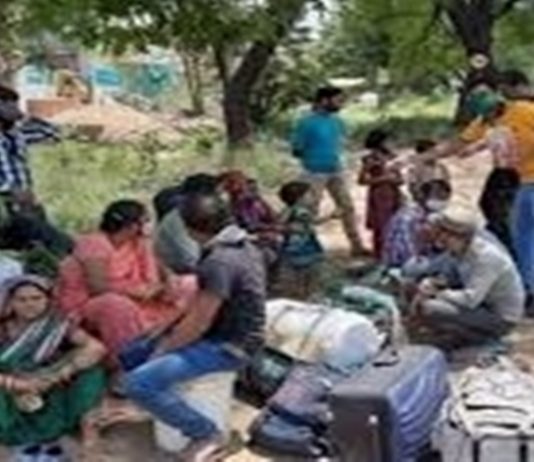 राज्यात टाळेबंदीच्या काळात कोरोनाचा प्रादुर्भाव नसलेल्या ठिकाणी रोजगार हमी योजनेची कामं मोठ्या प्रमाणात सुरु