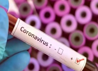 देशभरात कोरोनाबाधितांची संख्या ३७ हजार ३३६ ; १ हजार ८७९ रुग्ण कोरोनामुक्त