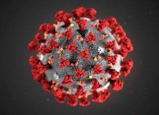 देशातले १० हजार ८८६ रुग्ण उपचारानंतर कोरोनामुक्त