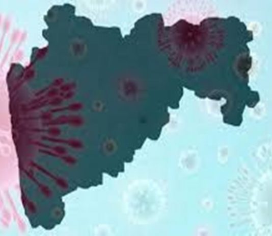 महाराष्ट्रात एकूण १३ हजार कोरोना रुग्ण