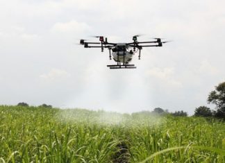 ड्रोनच्या माध्यमातून टोळधाडीवर किटकनाशकांची फवारणी करण्याचा प्रयोग