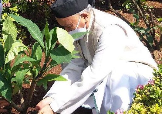 पर्यावरण दिनानिमित्त राज्यपालांचे राजभवन येथे वृक्षारोपण