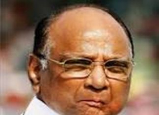 राज्याच्या कोविड 19 विरोधी लढ्यात राष्ट्रवादी काँग्रेसचे मंत्री महत्त्वाची भूमिका बजावत असल्याचं पक्षाचे अध्यक्ष शरद पवार यांनी म्हटलं