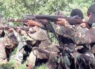 जम्मू-काश्मिरच्या पुलवामा चकमकीत दोन दहशतवादी ठार