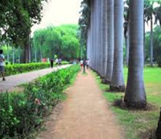 लॉकडाऊनचे निर्बंध शिथिल केल्यामुळं उद्यापासून नागरिकांना मोकळ्या मैदानात फिरायला जाण्याची परवानगी