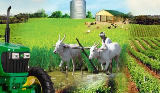 पीककर्ज मंजूरीसाठी जबाबदार अधिकाऱ्यांना मुख्यमंत्र्यांनी निर्देश द्यावेत – बँक कामगार संघटनांची मागणी