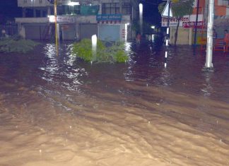 राज्याच्या अनेक भागात पावसाची जोरदार हजेरी