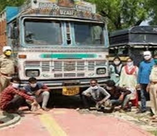 अमरावती जिल्ह्यात गांजाची वाहतूक करणारा ट्रक जप्त