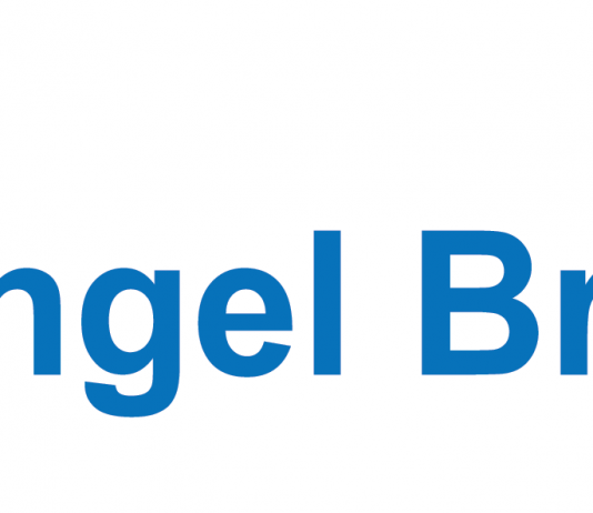 निर्देशांकांनी इंट्रा डे मधील नफा गमावला; पण व्यापार वाढला