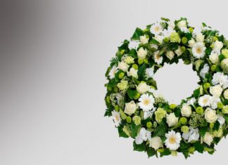 नीला सत्यनारायण यांच्या निधनाबद्धल मुख्यमंत्र्यांना दुःख