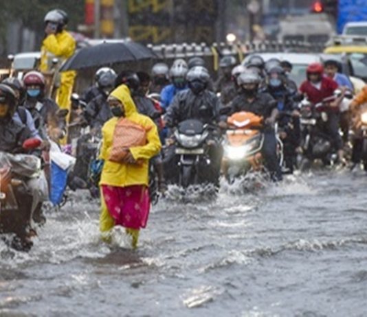 मुंबईसह राज्यात अनेक ठिकाणी पावसाची संततधार