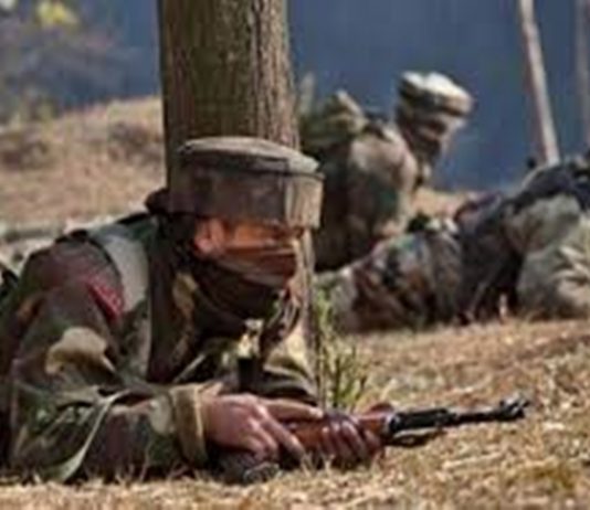 पाकिस्तानी सैन्यांनी पुन्हा एकदा केलं शस्त्रसंधीचं उल्लंघन