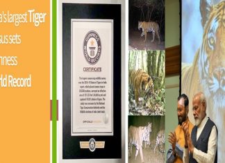 वाघ मोजणीसाठी सर्वाधिक कॅमेरे भारतात