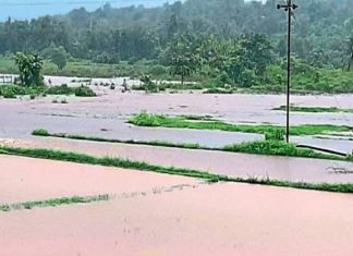 राज्यात सर्वत्र पावसाचा जोर