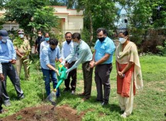 पर्यावरण रक्षणासाठी वृक्ष संवर्धनाची गरज – पर्यावरणमंत्री आदित्य ठाकरे