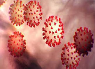 यूएईमध्ये कोविड19 च्या 51 हजार पेक्षा जास्त चाचण्या