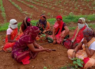शेताच्या बांधावरुन महिला शेतकऱ्यांचा ऑनलाईन प्रशिक्षणात सहभाग