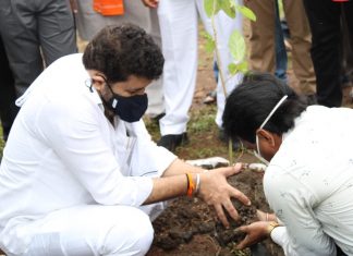 अशासकीय संस्था आणि खाजगी क्षेत्रामार्फत वनखात्याच्या जमिनीवर मोठ्या प्रमाणात वृक्षलागवड करा – वनमंत्री