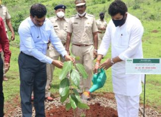 हरित महाराष्ट्रासाठी प्रत्येकाने एक झाड लावा- वनमंत्री संजय राठोड
