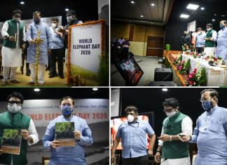 जागतिक हत्ती दिनानिमित्त प्रकाश जावडेकर यांच्या हस्ते पोर्टल, दस्ताऐवजाचं अनावरण