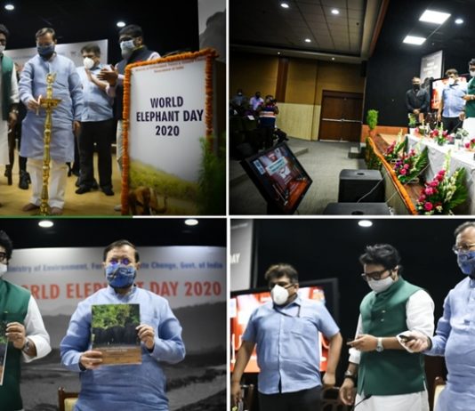 जागतिक हत्ती दिनानिमित्त प्रकाश जावडेकर यांच्या हस्ते पोर्टल, दस्ताऐवजाचं अनावरण