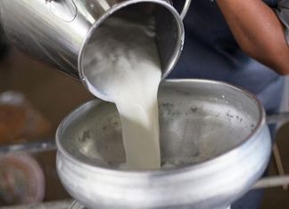 दूध आंदोलनात तोडगा काढण्यासाठी मुख्यमंत्री उद्धव ठाकरे यांनी हस्तक्षेप करावा अशी किसान सभेची मागणी