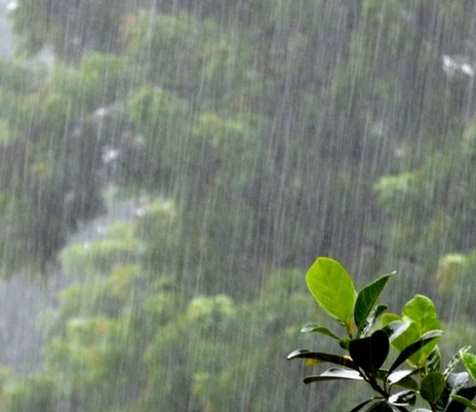 मुंबईसह राज्याच्या अनेक भागात जोरदार पाऊस