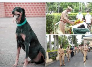 प्रधानमंत्र्यांनी रॉकी या पोलीस श्वानाला दिली आदरांजली