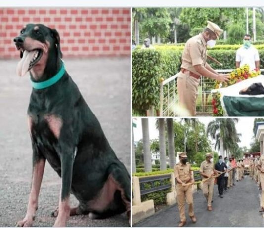 प्रधानमंत्र्यांनी रॉकी या पोलीस श्वानाला दिली आदरांजली