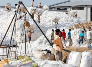 विविध आव्हानांवर मात करत अखेर जिल्ह्यात झाली विक्रमी कापूस खरेदी