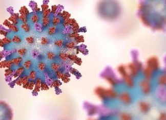 राज्यात आठ हजार ६०२ नवे कोविड रुग्ण