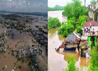 पूर्व विदर्भातील जिल्ह्यात गेल्या महिन्यात उद्भवलेल्या पूरस्थितीमुळे झालेल्या नुकसानीचा आढावा घेण्यासाठी केंद्राचं पथक दाखल