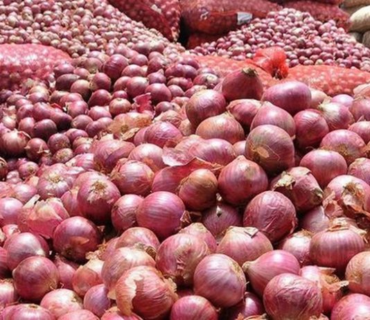 कांदा निर्यातबंदी रद्द करण्याच्या मागणीसाठी राज्यात आज सलग तिसऱ्या दिवशी आंदोलन