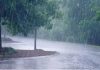 राज्याच्या अनेक भागात पावसाच्या जोरदार सरी