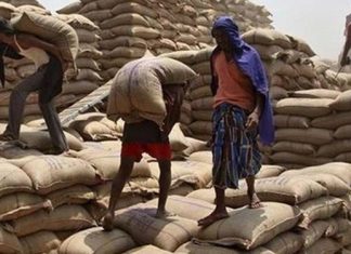 मुंबई-ठाणे शिधावाटप क्षेत्रात मोफत डाळीचे वाटप सुरू