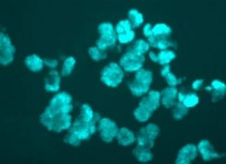 कृष्णा-गोदावरी (केजी) खोरे, मिथेन इंधनाचा उत्कृष्ट स्रोत