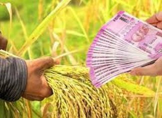 खरीप वितरण हंगाम साठी राज्यांकडून केंद्रानं सुरू केली धान्याची खरेदी