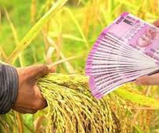 नाशिक जिल्ह्यातल्या शेतक-यांना पीक कर्जाचं वाटप