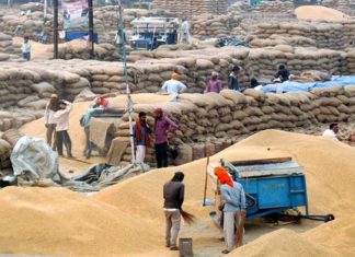 देशातल्या 6 लाखांपेक्षा जास्त शेतकऱ्यांकडून 69 लाख टनांहून अधिक धान पिकाची खरेदी