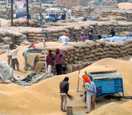 देशातल्या 6 लाखांपेक्षा जास्त शेतकऱ्यांकडून 69 लाख टनांहून अधिक धान पिकाची खरेदी