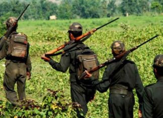 गडचिरोली जिल्ह्यात पोलिसांबरोबर झालेल्या चकमकीत ५ नक्षलवादी ठार