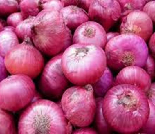कांदा दरवाढीला आळा घालण्यासाठी कांद्याच्या साठवणुकीवर निर्बंध