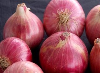 कांदा साठवणूकीबाबतचे सुधारित आदेश जारी