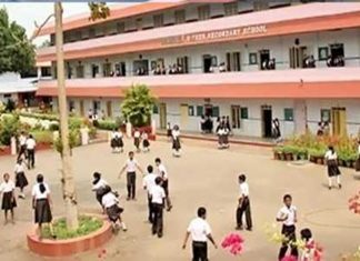 राज्यातल्या शाळा दिवाळीनंतर सुरू होणार