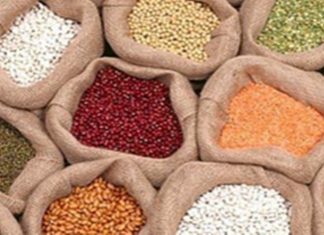 खरीप हंगामातल्या धान, डाळी आणि तेलबियांची हमीभावानं खरेदीची प्रक्रीया वेगात सुरु असल्याची केंद्र सरकारची माहिती